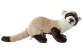 Obrázek z Fretka plyš 35cm 